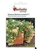 Квіти Бегонія Шансон ампельна ванільно-жовта F1 10 гран., СЦ, Садиба Центр