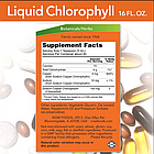 Now Liquid Chlorophyll (90 serv 473ml), фото 2