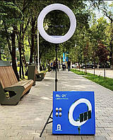 Светодиодная Led лампа Rl 21 54 см с пультом и 3 держателями телефона + сумка для хранения цветная RGB ,Ос
