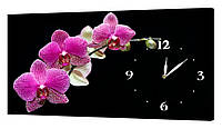 Настенные часы ProfART на холсте 30 x 53 см Цветы (C5_S)