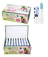 Бальзам-тінт для губ Peinifen Lipstick (чорниця)