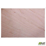 Стілець Учнівський №6 чорний лак бук, ТМ Амф, фото 5