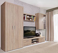 Современная со шкафом для одежды модульная стенка под телевизор в гостиную, комнату, зал Дамис ВМВ Холдинг