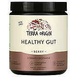 Terra Origin Healthy Gut, 243 г, домішка для нормалізації функцій шлунково-кишкового тракту, смак ягід, фото 2