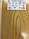 Двері-гармошка світлий дуб ПВХ Vinci Decor Melody міжкімнатні складана 2030x820 мм, фото 2