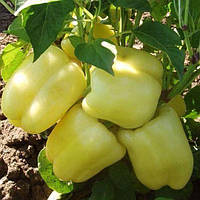 Перець Нікіта F1 ранній 8 шт, Садиба центр