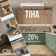 Знижка 20% на кухню Тіна