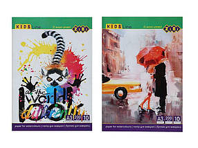 Папки для зошитів та праці