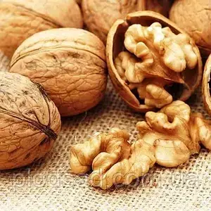 Волоський горіх Додо ( дворічний )