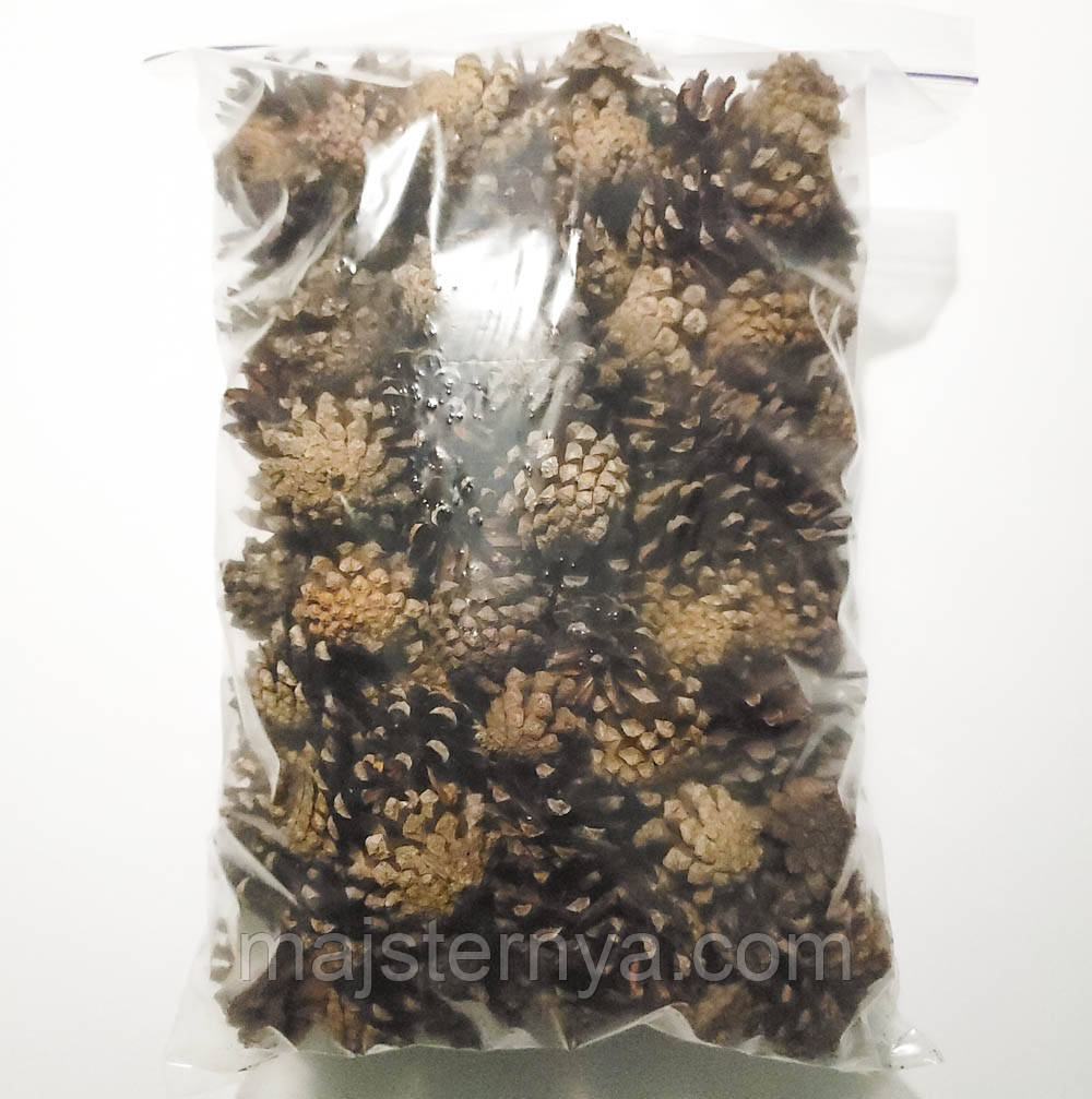 Шишки натуральні соснові 2см - 3,5см (200шт в упаковці)