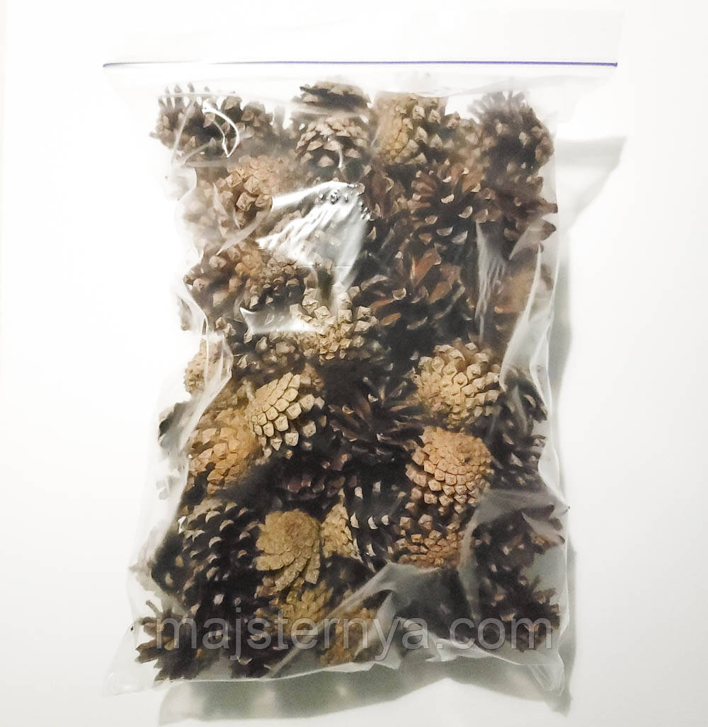 Шишки натуральні соснові 3,5см - 4,5см (100шт в упаковці), фото 1