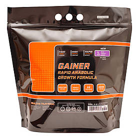 Гейнер високовуглеводний 3 кг Bioline Nutrition Лісова ягода, Пакунок