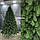Штучна лита ялинка "Тріумф" 1,8м  зелена новорічна, фото 3