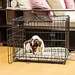 Металева клітка для дуже великих собак до 50 кг розкладна DOG-INN 120 Ferplast 23.8x 76.2 x h 81.2cm, фото 7