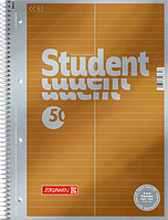 Тетрадь колледж-блок Brunnen А4 на спирали для словаря 50 листов 90 г/м2 обложка Золотой металлик (1067146)