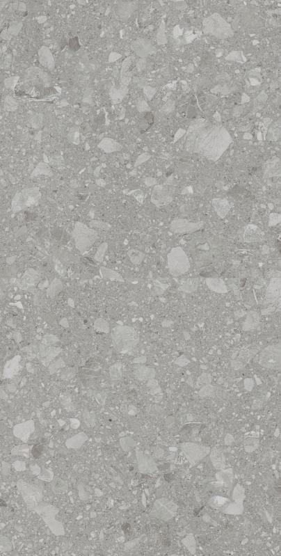 Terra Grey F P 600x600x8 R Mat 2