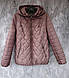 Жіноча демісезонна стьобана куртка MANGELO, 50р., якість відмінна, заміри в описі - фото 1 - id-p2036019591