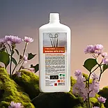 Білизна анти іржа 1000 мл, фото 4