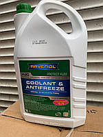 Антифриз Ravenol FL22 зеленый 5л концентрат (ID#2036183877), цена: 900 ...