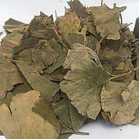 Гинкго билоба листья Карпаты 50г