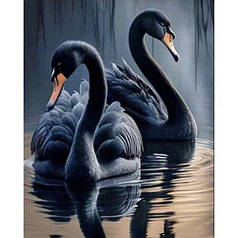 Набір для творчості алмазна картина Чорні лебеді Strateg розміром 40х50 см  (SK86021)