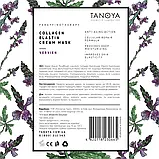 Крем-маска колагено-еластинова «Вербена», 500 мл, фото 2