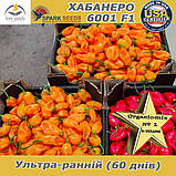 Перець гіркий Хабанеро помаранчевий 6001 F1 (проф. пакет 500 насінин), ТМ Spark Seeds (США), фото 3