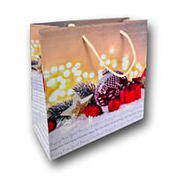 Паперовий пакет новорічний розмір 23х24х10 NGKV-18 12 шт/уп. пакет під подарунки новорічна упаковка