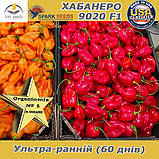 Перец гострий червоний Хабанеро 9020 F1 (500 насінин) ТМ Spark Seeds (США), фото 5