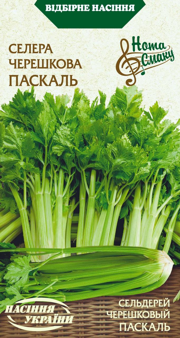 Насіння пряні Сельдерей (селера) черешковий Паскаль 0,5г