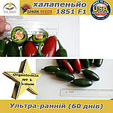 Перец гіркий Халапеньйо 1851 F1 ТМ Spark seeds (США), 500 насінин проф. пакет, фото 2