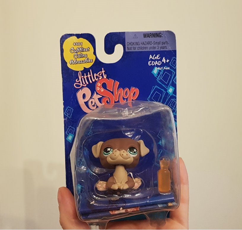 Pug pet cheap shop