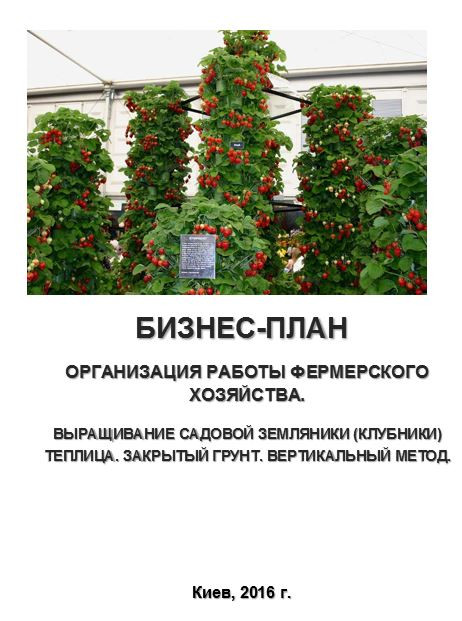 Бізнес – план (ТЕО). Вирощування полуниці. Садова суниця. Теплиця. Закритий грунт. Вертикальний метод