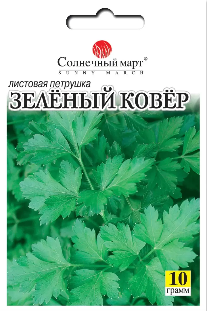 Насіння петрушки Зелений килим,10г