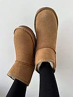 Угги жіночі UGG Classic Mini II Boot Chestnut 1016222