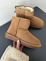 Женские угги UGG Classic Mini II Boot Chestnut 1016222 37