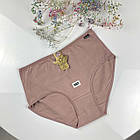 Жіночі бавовняні трусики #5140 Aоnidaisi, фото 5