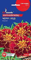 Бархатцы Черри Леди сорт обильноцветущий махровый бордюрный с вишневой окраской, упаковка 0,5 г