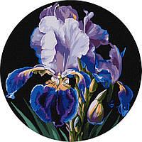 Картина по номерам Цветы, Букеты "Нежные ирисы" KHO-R1021 Идейка диаметр 33 см от STOP STRESS