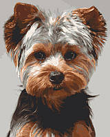 Картина за номерами Тварини, Собаки Art Craft "Йоркширський тер'єр" 40х50 11644-AC від STOP STRESS