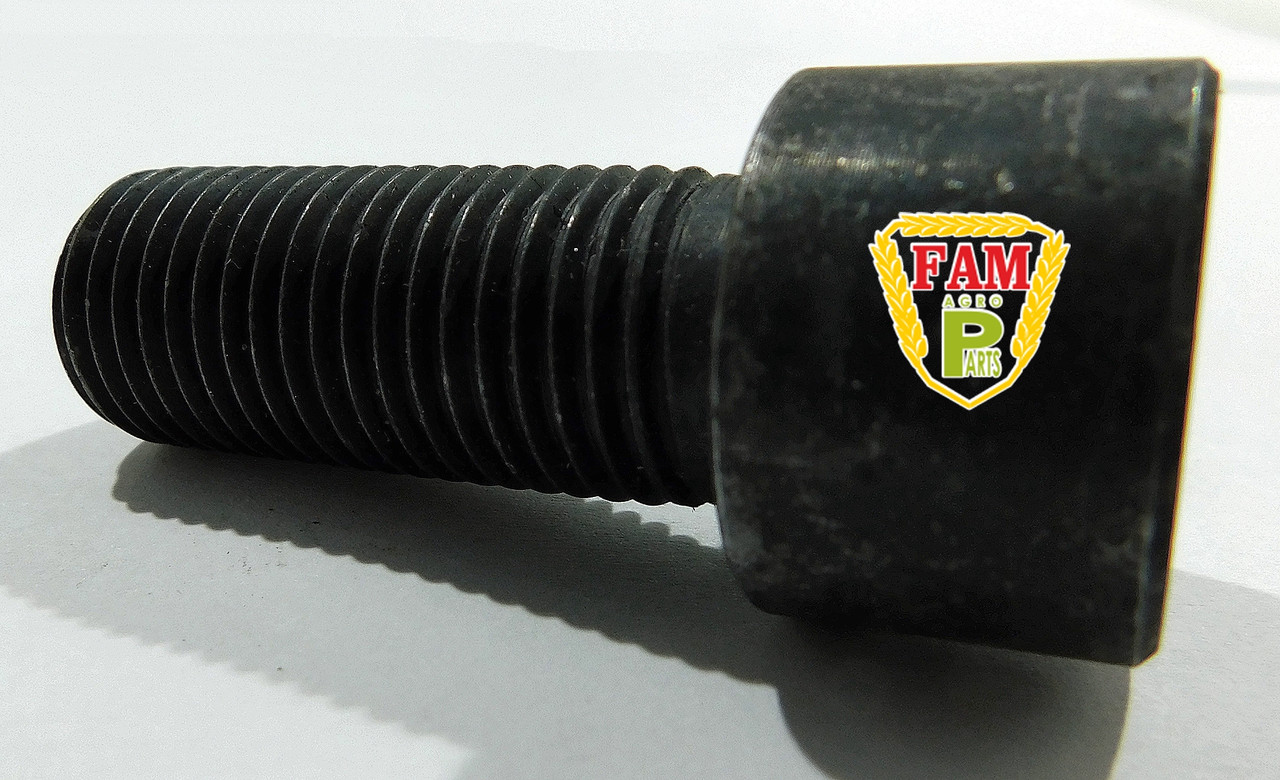 Болт М18х2х45 з циліндричною головкою 238904 Claas