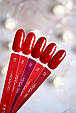 DARK GEL POLISH (NEW COLLECTION) 03, 10 ML, фото 3