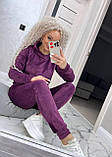 Теплый женский велюровый костюм однотонный прогулочный с капюшоном велюр плюш на меху сливовий костюм жіночий, фото 6