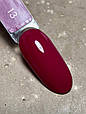 DARK GEL POLISH (NEW COLLECTION) 13, 10 ML, фото 4