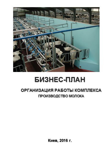 Бізнес-план (ТЕО). Молочна ферма. Корівник. Вирощування ВРХ (голштинська). Виробництво та переробка молока