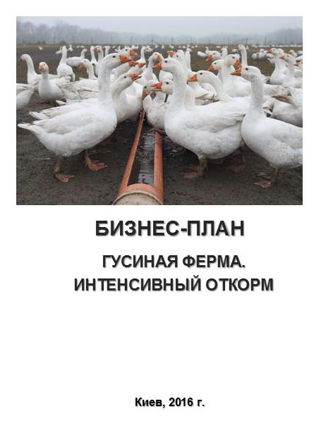 Бізнес-план (ТЕО). Гусяча ферма. Виробництво гусячого м'яса. М'ясні субпродукти. Інтенсивна технологія