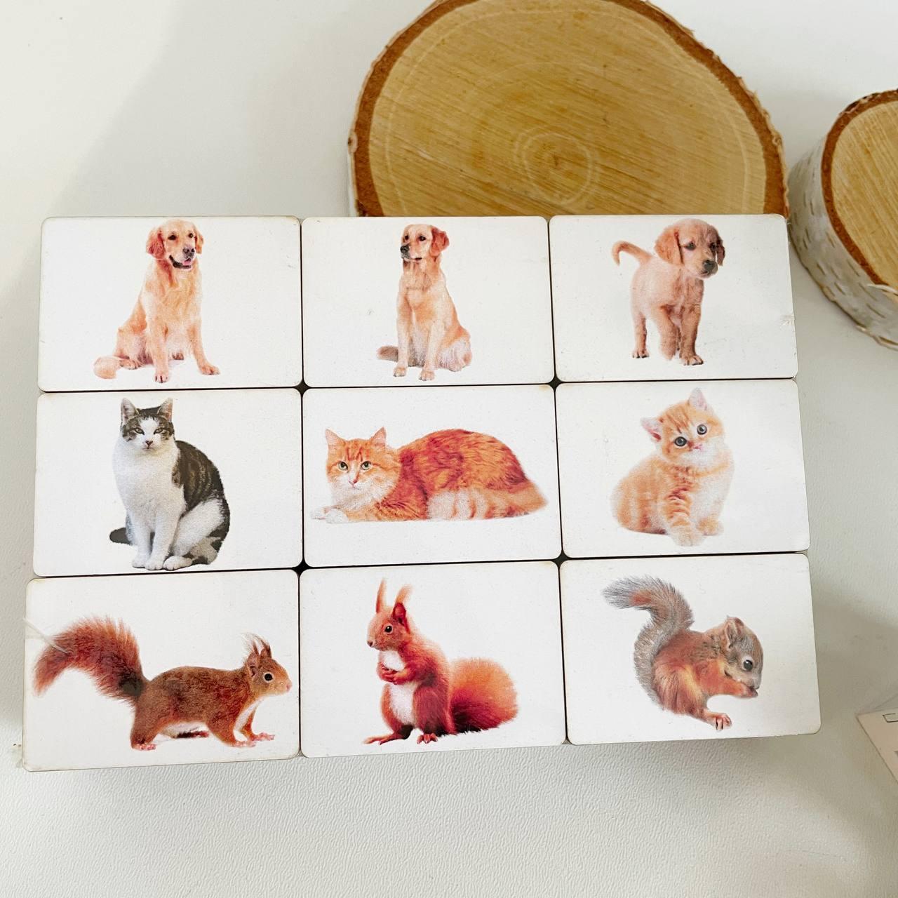 Деревянная игра Мама, папа и малыш: изучаем животных Познавалка (ID ...