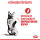 Вологий лікувальний корм Royal Canin Appetite Control Care для кішок (у соусі) від випрошування корму,  85 ГР*12 ШТ, фото 10