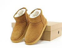 Угги зимние женские короткие мини 36-41 топ качество ugg ultra mini натуральные замшевые на меху