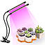 Светодиодная лампа для растений фитолампа с таймером 2 ветки / Светильник для растений, фото 3